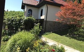 Wine & Nature & Tour Villa Zgornji Leskovec Exterior photo