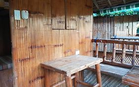 Pleasant Valley Guesthouse - Baler Exterior photo