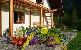 Bovec Home At Three Samoyeds Soča Exterior photo