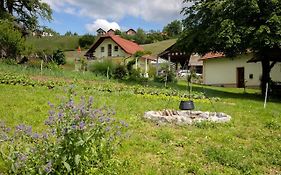 Domacija Vesel Villa Trebnje Exterior photo