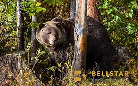 Palliser Lodge — Bellstar Hotels & Resorts Golden Exterior photo