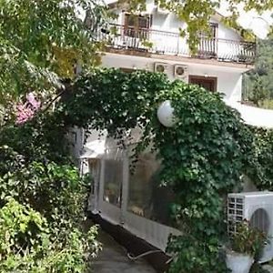 Pansion Mimoza Bed and Breakfast Herceg Novi Exterior photo