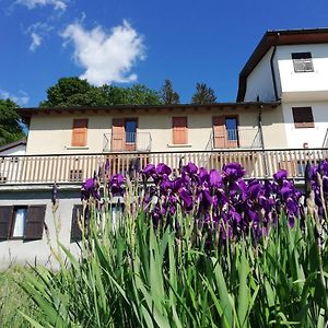 Rifugio Campiglio Hotel Dumenza Exterior photo