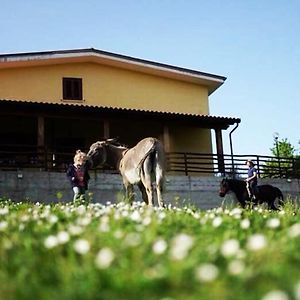 Il Rifugio Del Contadino Art & Nature Villa Bosco  Exterior photo