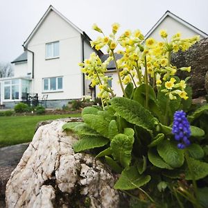 Copper Meadow Bed and Breakfast Launceston Exterior photo