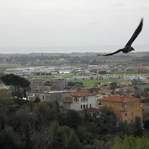 Al Castello Bed and Breakfast Tarquinia Exterior photo