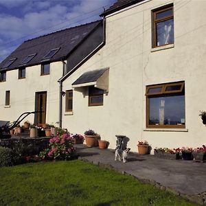 Plas Newydd Farm Bed and Breakfast Llanedy Exterior photo