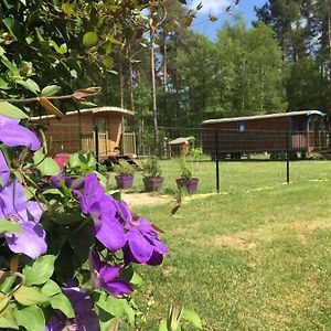 Roulottes Du Chalet Des Pins Bed and Breakfast Rougeou Exterior photo