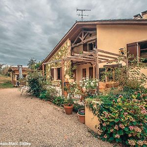 Domaine Quiescis Bed and Breakfast Marcellus Exterior photo