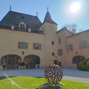 Chateau De La Venerie Bed and Breakfast Denicé Exterior photo