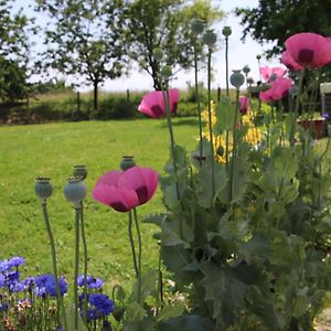 Le Gite De La Grange De Broustic Bed and Breakfast Lahosse Exterior photo