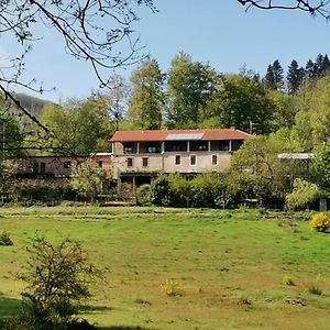 B And B Sycomore, La Bouriotte Bed and Breakfast Labastide-Rouairoux Exterior photo