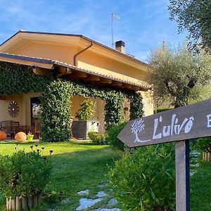 L' Ulivo Bed & Breakfast Bed and Breakfast Teramo Exterior photo