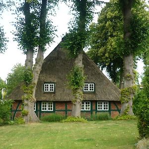 Bioland Hof Bockmann Lejlighed Bordesholm Exterior photo