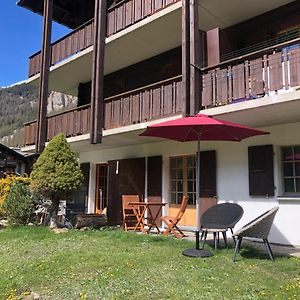 Le Cerf, Magnifique Studio Avec Jardin-Terrasse Et Garage Lejlighed Evolène Exterior photo