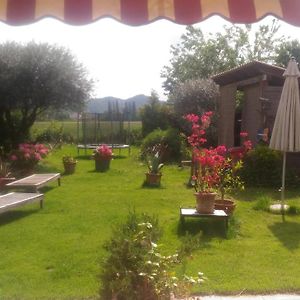 B&B Dora E Flavio Country Rooms Montegrotto Terme Exterior photo