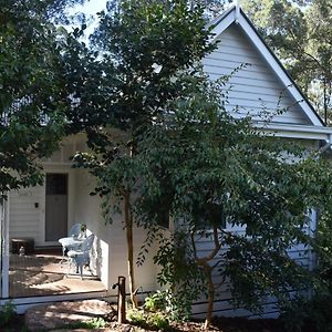 Fern Falls Cottages - Fern Cottage Mount Dandenong Exterior photo