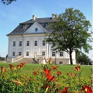 Hotel Palac Borynia Jastrzębie Zdrój Exterior photo