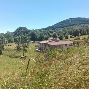 Le Moulin De La Fortie, Maison D'Hotes Bed and Breakfast Viscomtat Exterior photo