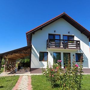 Pensiunea Maria Hotel Polovragi Exterior photo