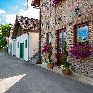 Podrumi Kolar "Suza Baranje" Pensionat Kneževi Vinogradi Exterior photo