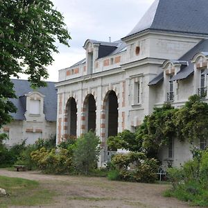 L'Orangerie Du Chateau - Le Nid - Gite 2 Personnes Lejlighed Brain-sur-Allonnes Exterior photo