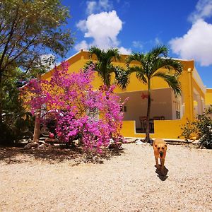 Roadrunner-Bonaire Villa Playa Exterior photo