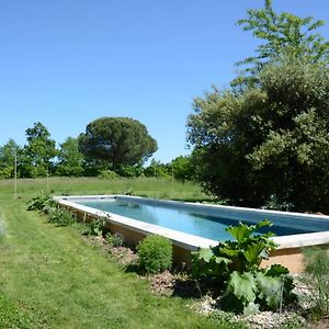 Chant Du Buc, Le Galet Lejlighed Marssac-sur-Tarn Exterior photo