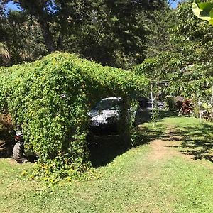 Navarro Mountain Villa Cartago Exterior photo