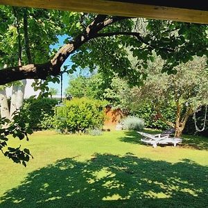 Rustico Roberta "Il Giardino Dei Pesci" Bed and Breakfast Latina Exterior photo