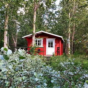 Bakkakot 3 Cozy Cabin In The Woods Lejlighed Akureyri Exterior photo
