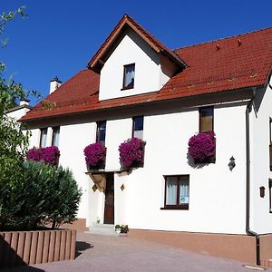 4 Sterne Ferienwohnung Sorbitztal Inklusive Gastekarte Rohrbach  Exterior photo
