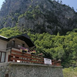 Apartmani Tara I Zabojsko Dobrilovina Mojkovac Exterior photo