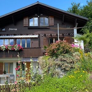 Chalet Acheregg Lejlighed Wengen Exterior photo