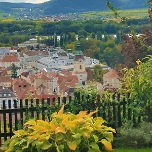 Blick Uber Krems Mit Gartenpavillon Exterior photo