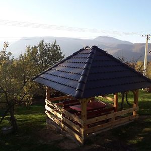 Seoska Kuca Rakic - Tara Villa Rastiste Exterior photo