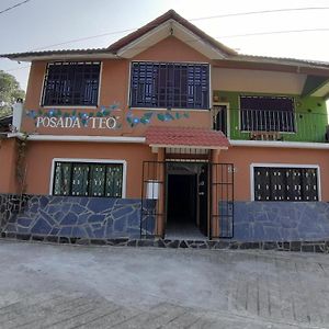 Posada Teo Lejlighedshotel Xilitla Exterior photo