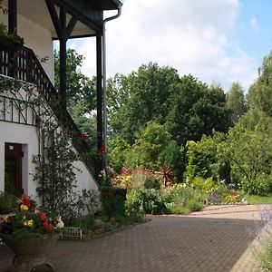 Gasthof & Pension Palmenhof Leegebruch Exterior photo