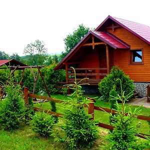 Agroturystyka Zielona Zagroda W Kosztowej Villa Dubiecko Exterior photo