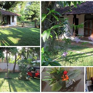 Sagala Bungalow Hotel Kalutara Exterior photo