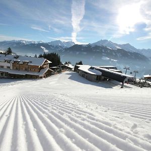 Elegant Chalet With Sauna In Mittersill Salzburg Lejlighed Hollersbach im Pinzgau Exterior photo