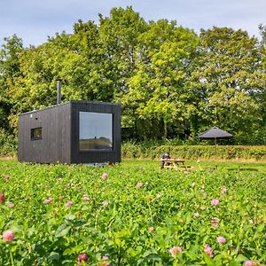 Off-Grid, Eco Tiny Home Nestled In Nature Alton Pancras Exterior photo