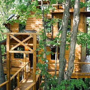 Treehouse #3 By Amish Country Lodging Villa Millersburg Exterior photo