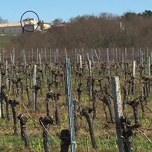 Superbe Gite A La Campagne Dans Le Bordelais Lejlighed Saint-Vivien-de-Blaye Exterior photo