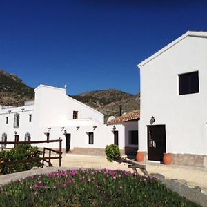 Cortijo Mariposa. Independent Two Bedroomed Holiday Home Albox Exterior photo