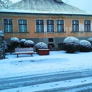 Napraforgo Apartman Tokaj Lejlighed Exterior photo