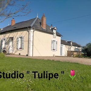 Studio "Tulipe" Dans Le Berry Lejlighed Les Bordes Exterior photo