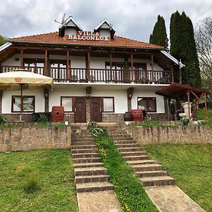 Villa Balconlux - Zavojsko Jezero, Pirot Exterior photo