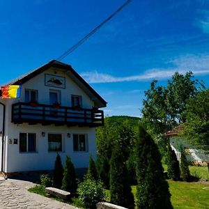 Pensiunea Casa Ghica Hotel Valea Sălciilor Exterior photo