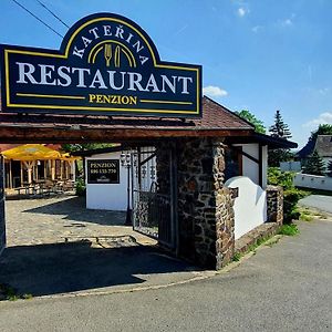 Katerina Restaurant A Penzion Hotel Rozvadov Exterior photo